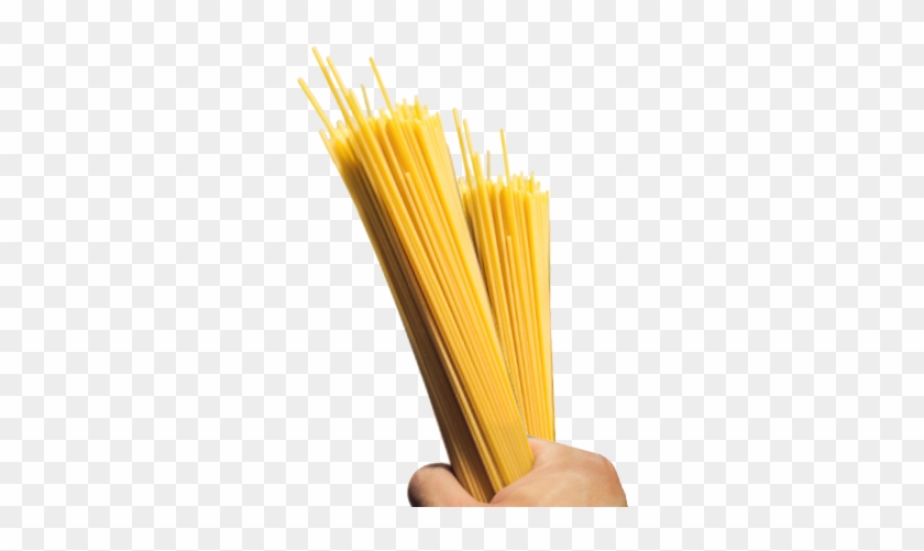 Detail Spaghetti Noodles Png Nomer 43