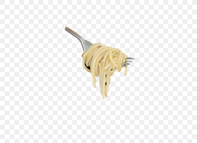 Detail Spaghetti Noodles Png Nomer 48