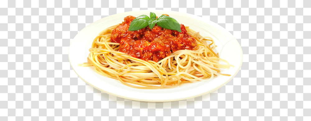 Detail Spaghetti Transparent Nomer 15