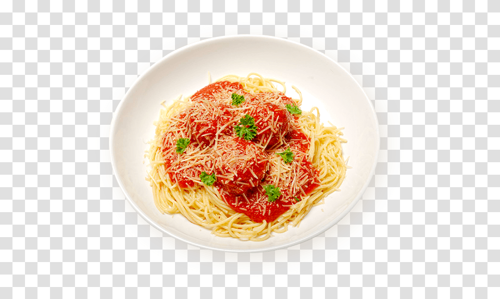 Detail Spaghetti Transparent Nomer 52