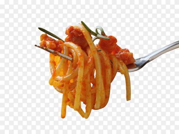 Detail Spaghetti Transparent Background Nomer 21