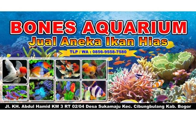 Detail Spanduk Aquarium Nomer 14