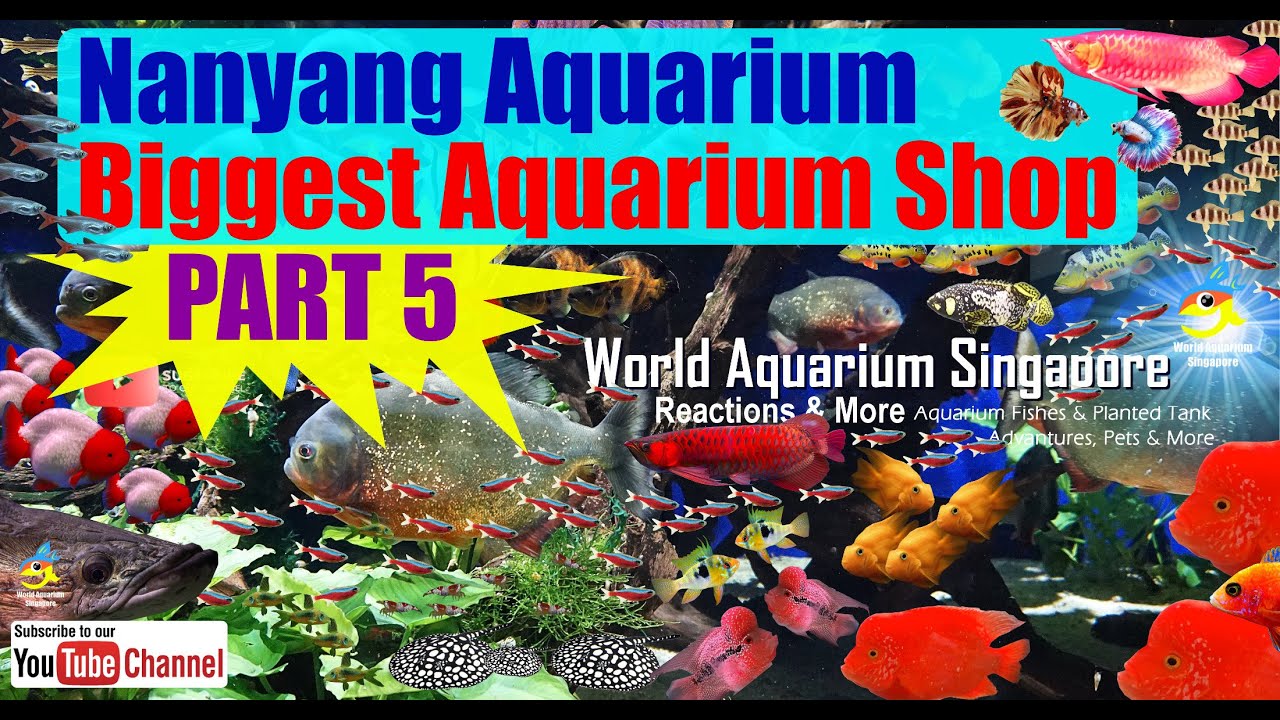 Detail Spanduk Aquarium Nomer 29