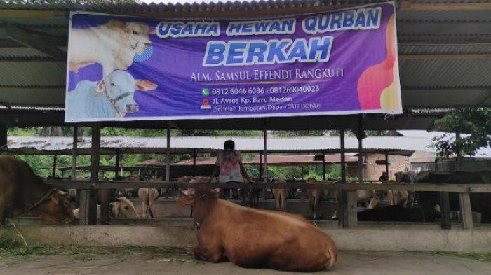 Detail Spanduk Jual Hewan Qurban Nomer 28