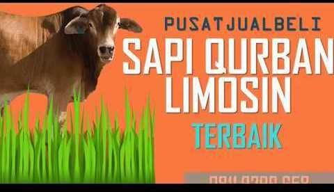 Detail Spanduk Jual Hewan Qurban Nomer 37