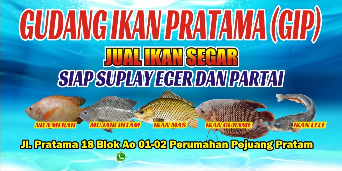 Detail Spanduk Jual Ikan Nomer 18