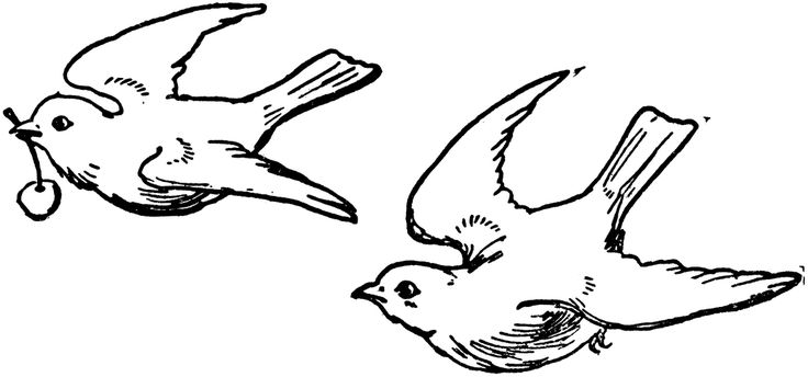 Detail Sparrow Clipart Black And White Nomer 29