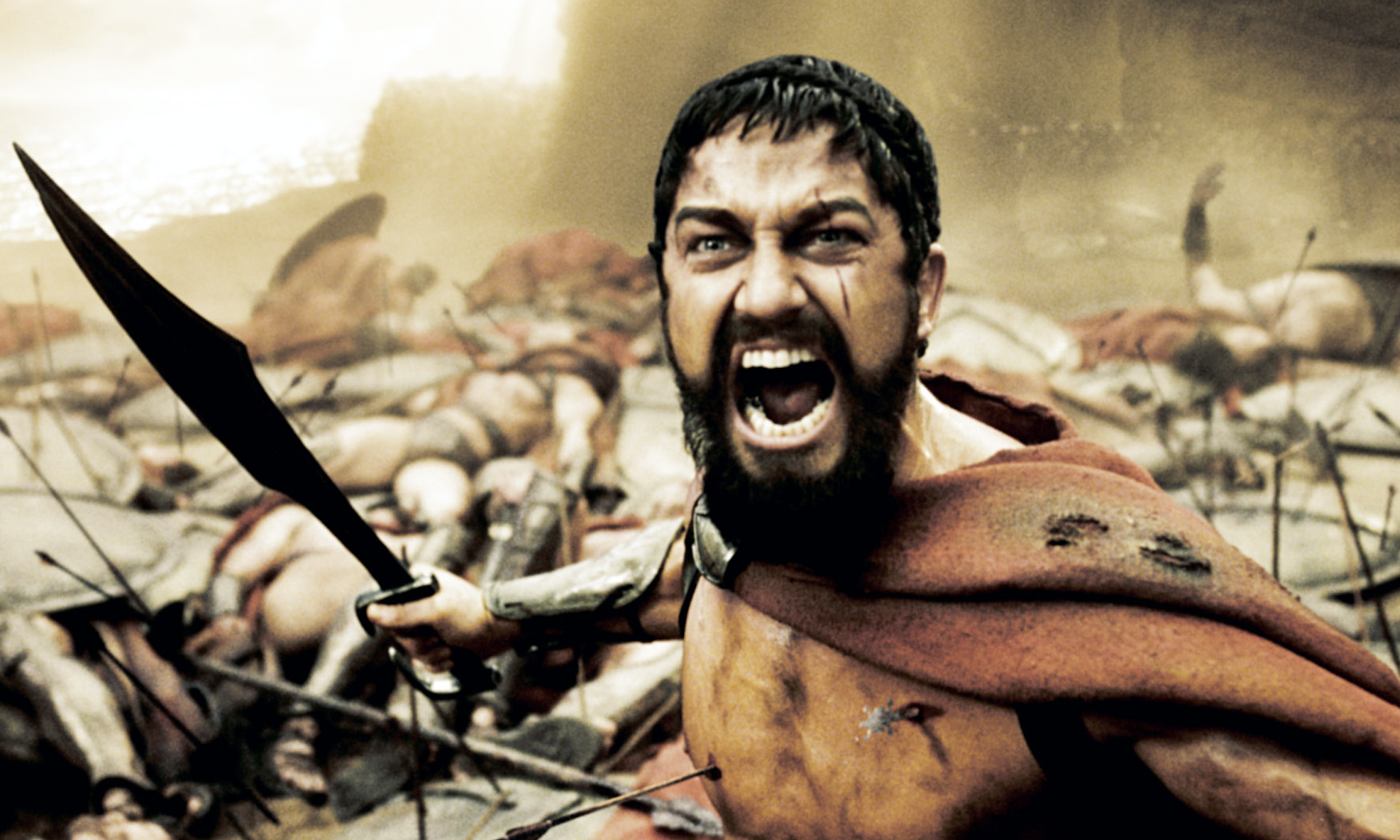 Detail Sparta Face Nomer 17