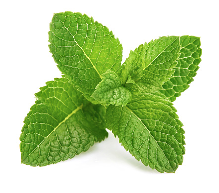 Detail Spearmint Leaves Images Nomer 21