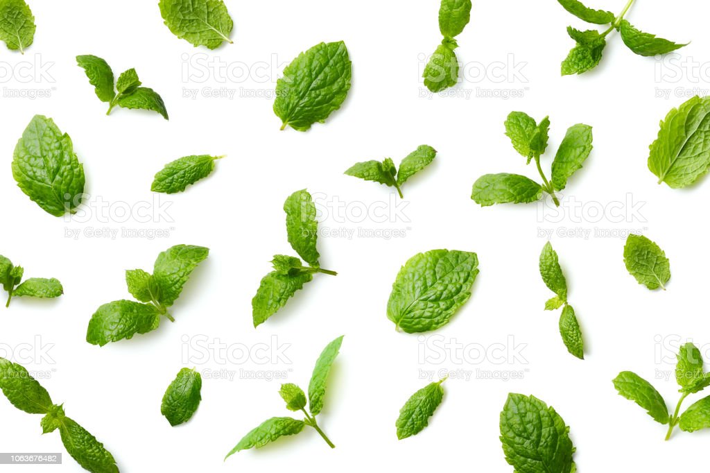 Detail Spearmint Leaves Images Nomer 49