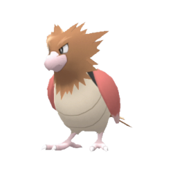 Detail Spearow Png Nomer 20