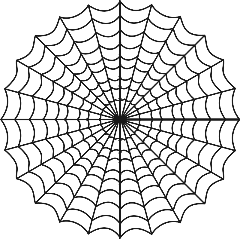 Detail Spider And Web Clipart Nomer 24