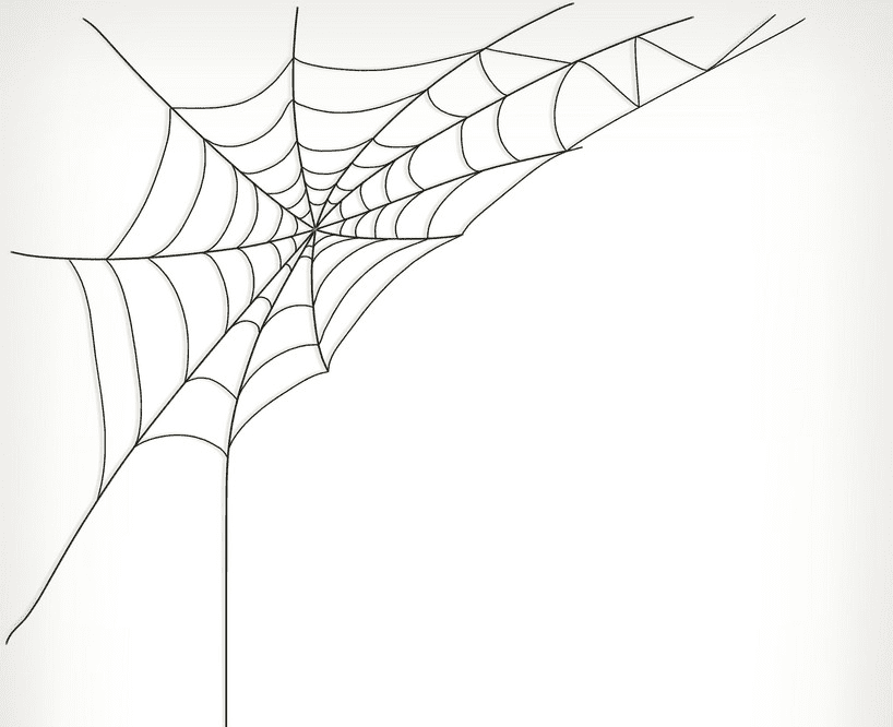 Detail Spider And Web Clipart Nomer 26