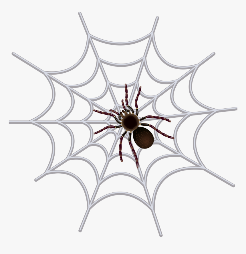 Detail Spider And Web Clipart Nomer 39