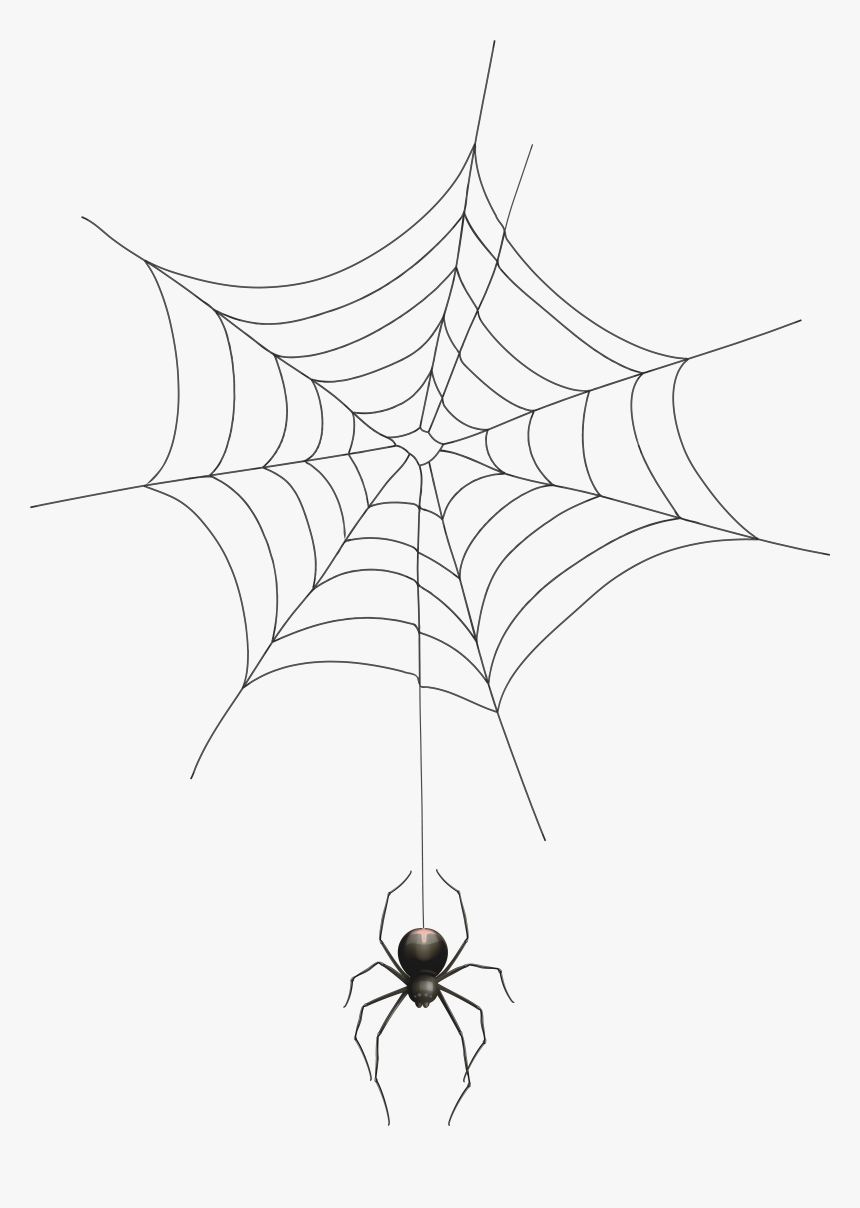 Detail Spider And Web Clipart Nomer 40