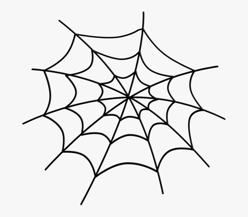 Detail Spider And Web Clipart Nomer 43