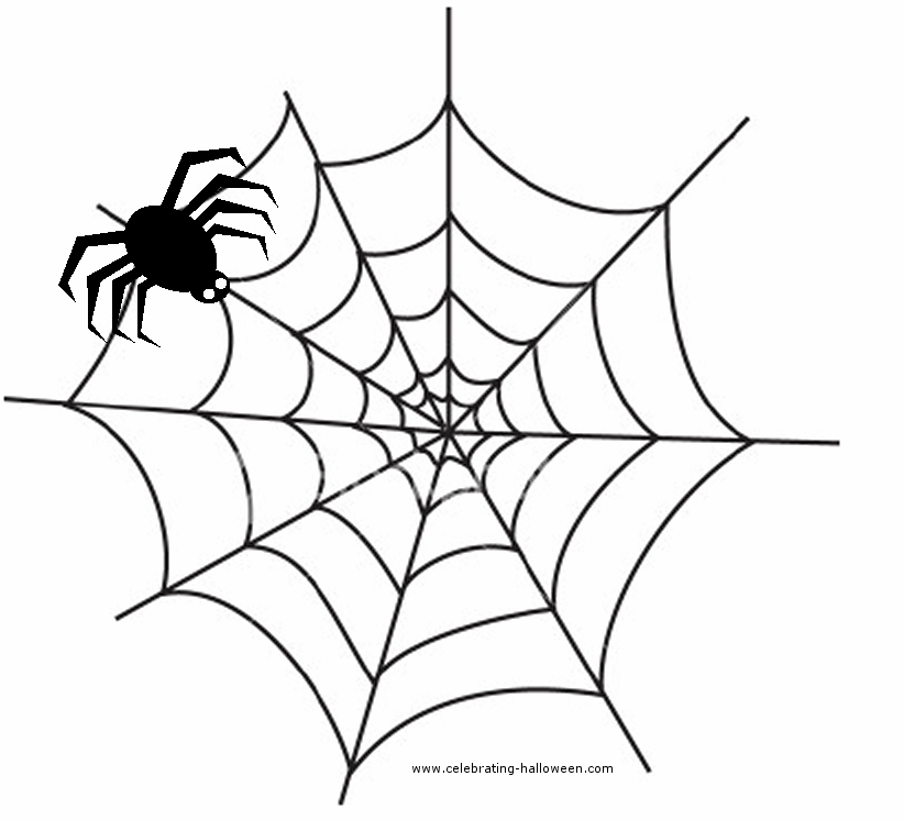 Detail Spider And Web Clipart Nomer 8