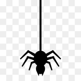 Detail Spider Cartoon Png Nomer 21