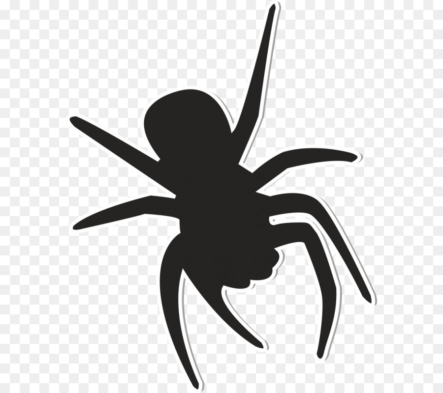 Detail Spider Cartoon Png Nomer 52