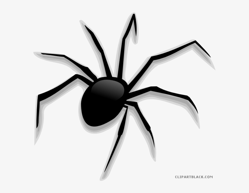 Detail Spider Clipart Png Nomer 10