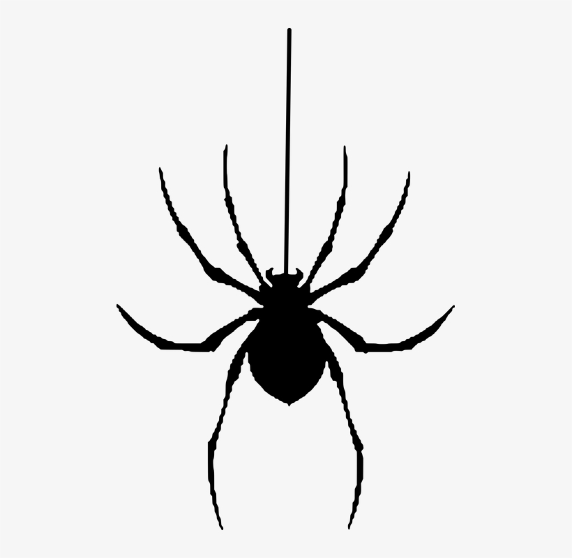 Detail Spider Clipart Png Nomer 25