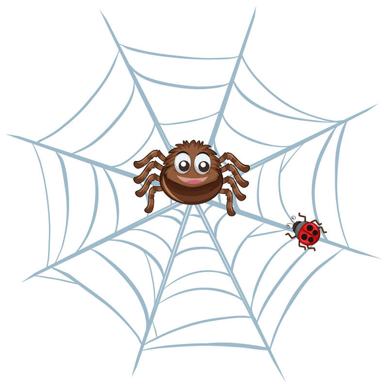 Detail Spider Clipart Png Nomer 46