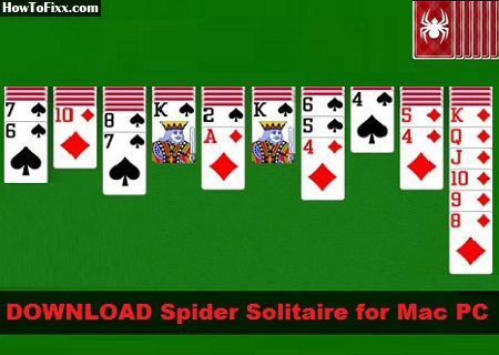 Detail Spider Download Nomer 16