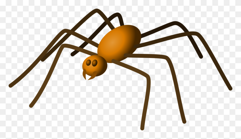 Detail Spider Legs Png Nomer 44