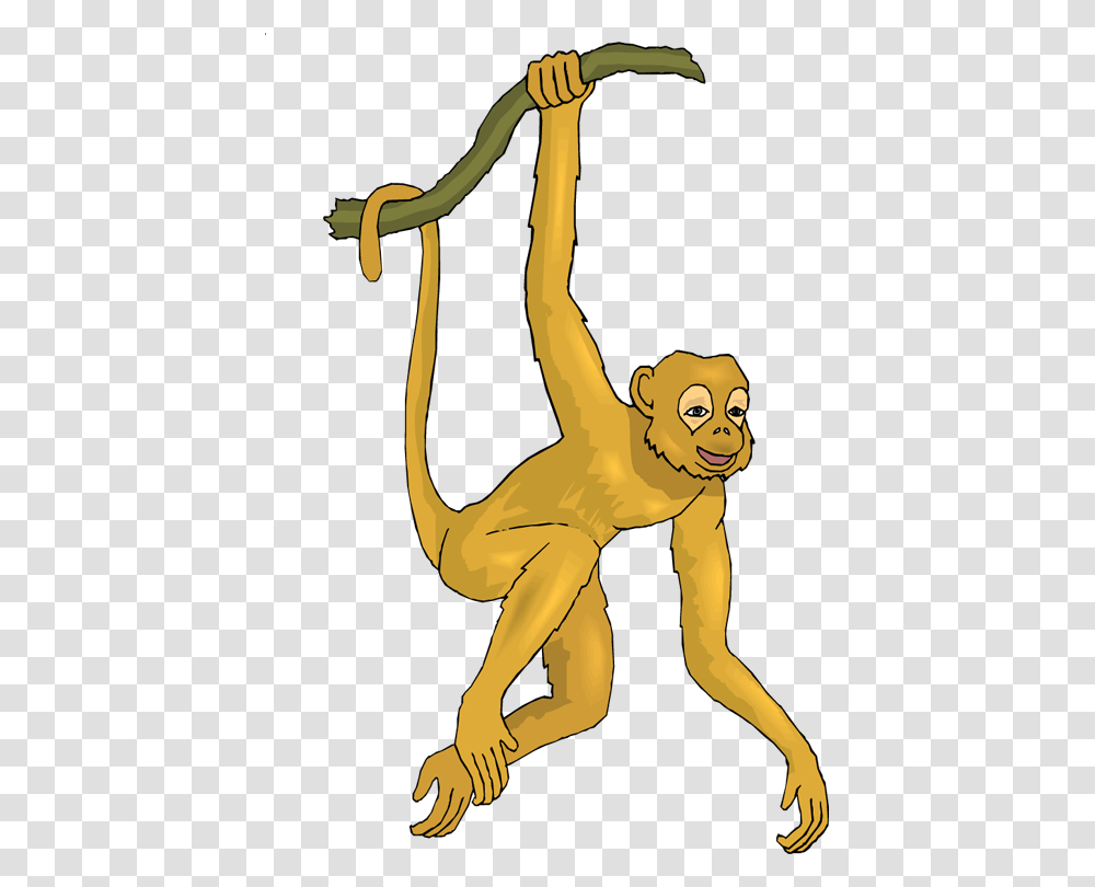 Detail Spider Monkey Png Nomer 13