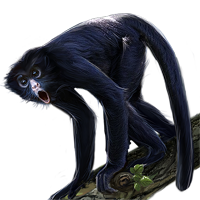 Detail Spider Monkey Png Nomer 39