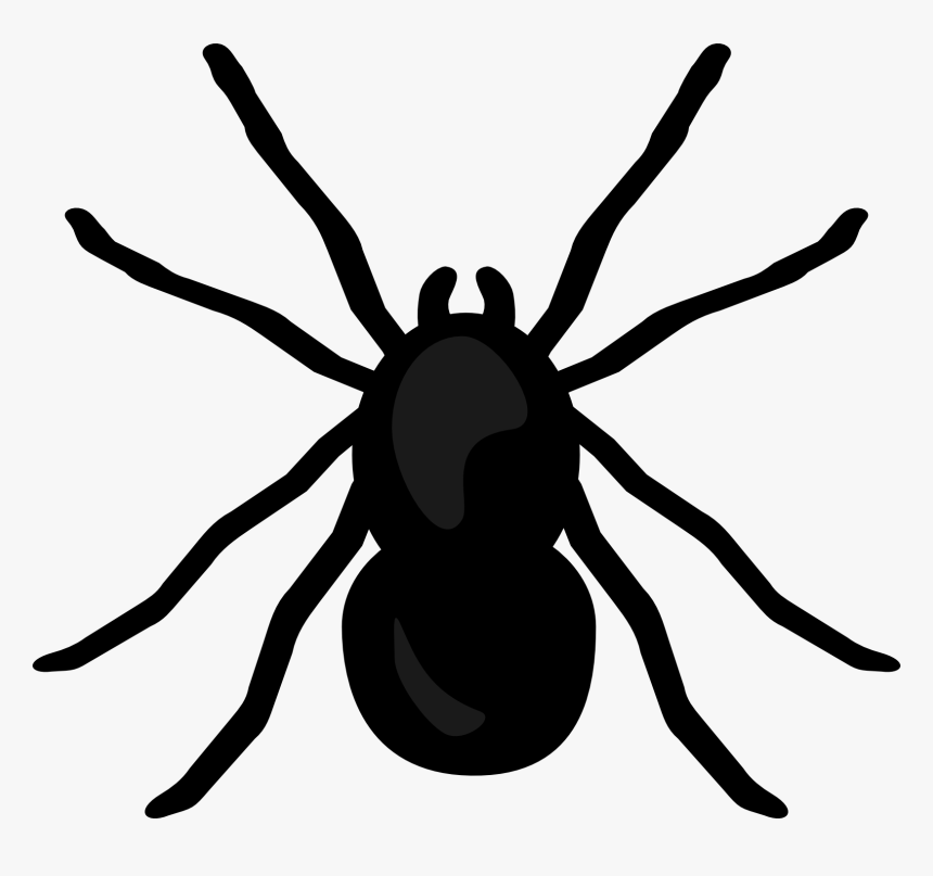 Detail Spider No Background Nomer 14