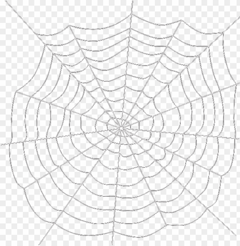 Detail Spider No Background Nomer 38