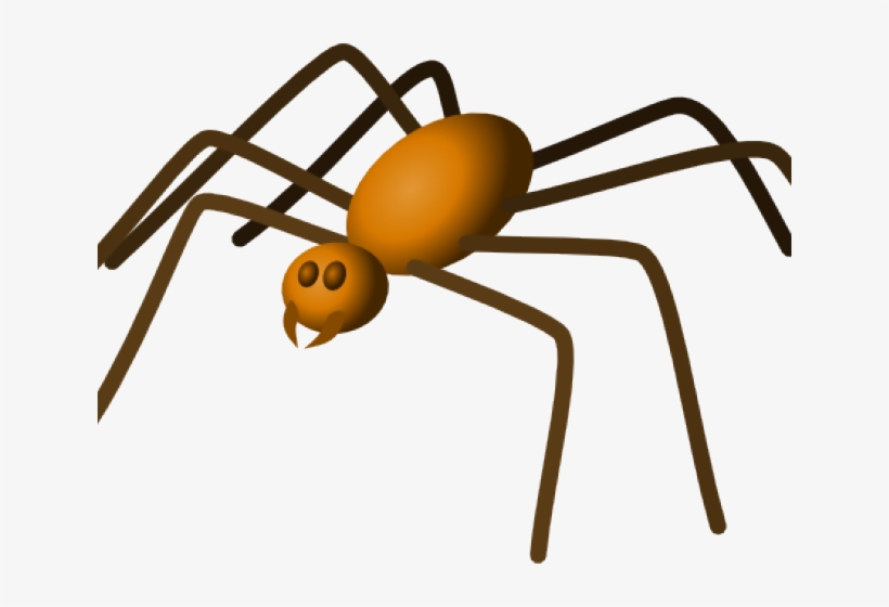 Detail Spider No Background Nomer 43