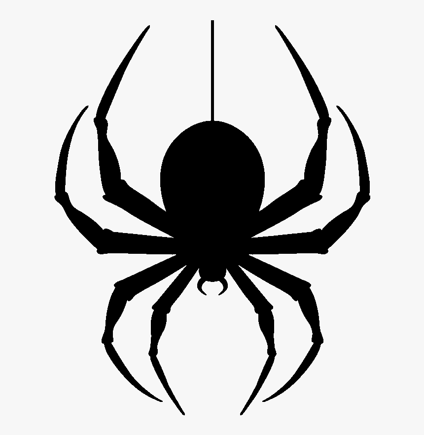 Spider Png Clipart - KibrisPDR