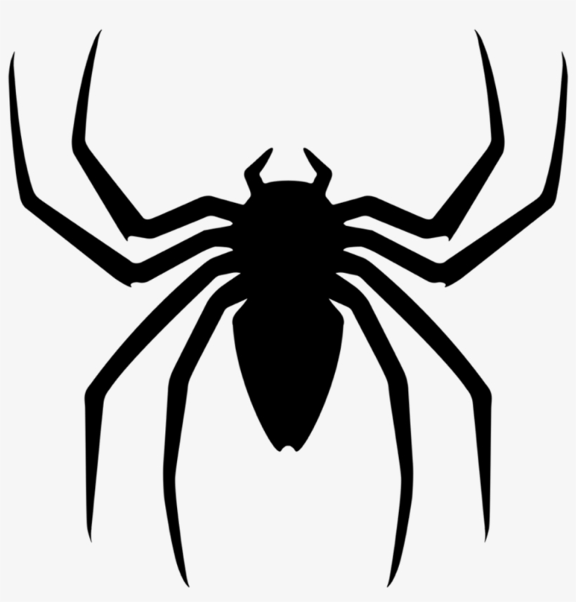 Detail Spider Png Images Nomer 31
