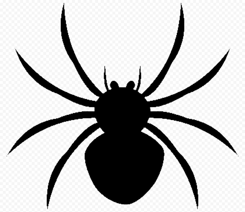 Detail Spider Transparent Nomer 17