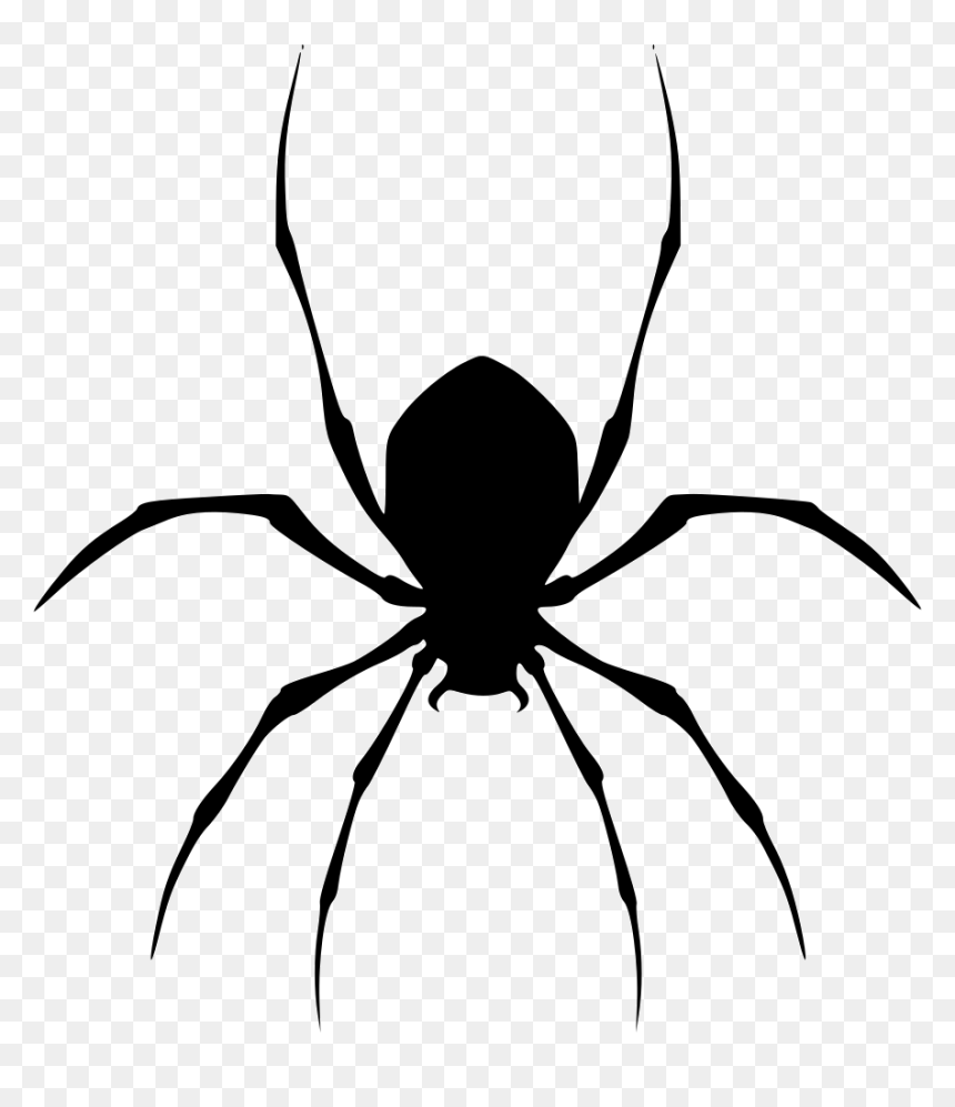 Detail Spider Transparent Nomer 21