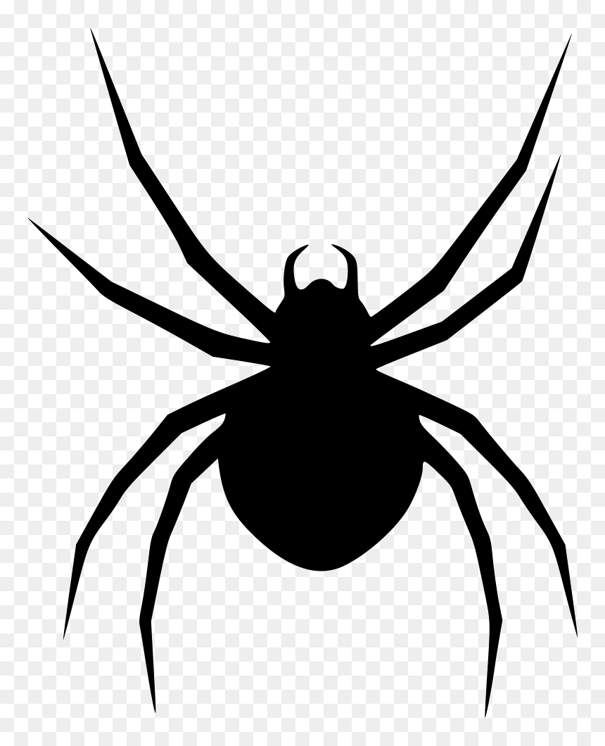 Detail Spider Transparent Nomer 28