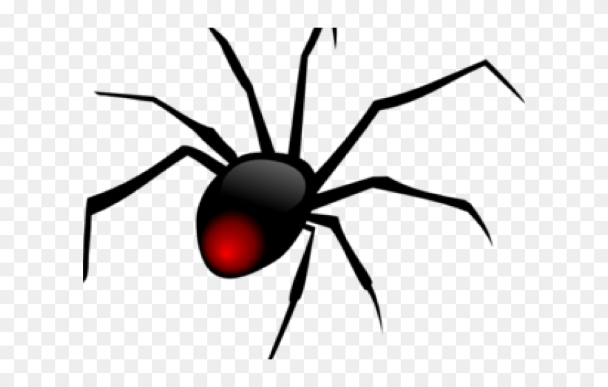 Detail Spider Transparent Nomer 30