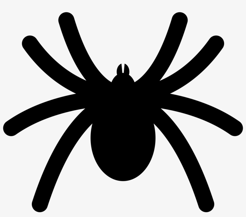 Detail Spider Transparent Nomer 35