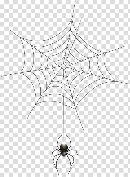 Detail Spider Transparent Nomer 39