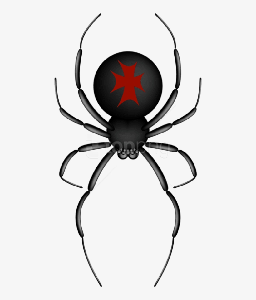 Detail Spider Transparent Nomer 43