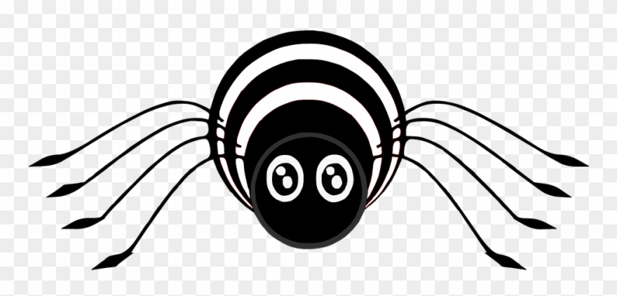 Detail Spider Transparent Nomer 44
