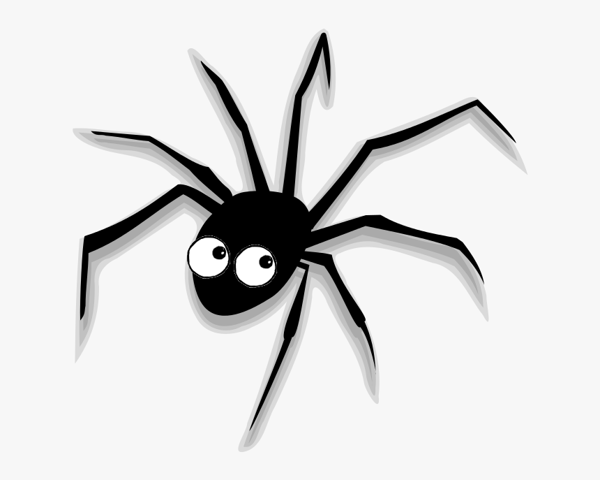 Detail Spider Transparent Nomer 46