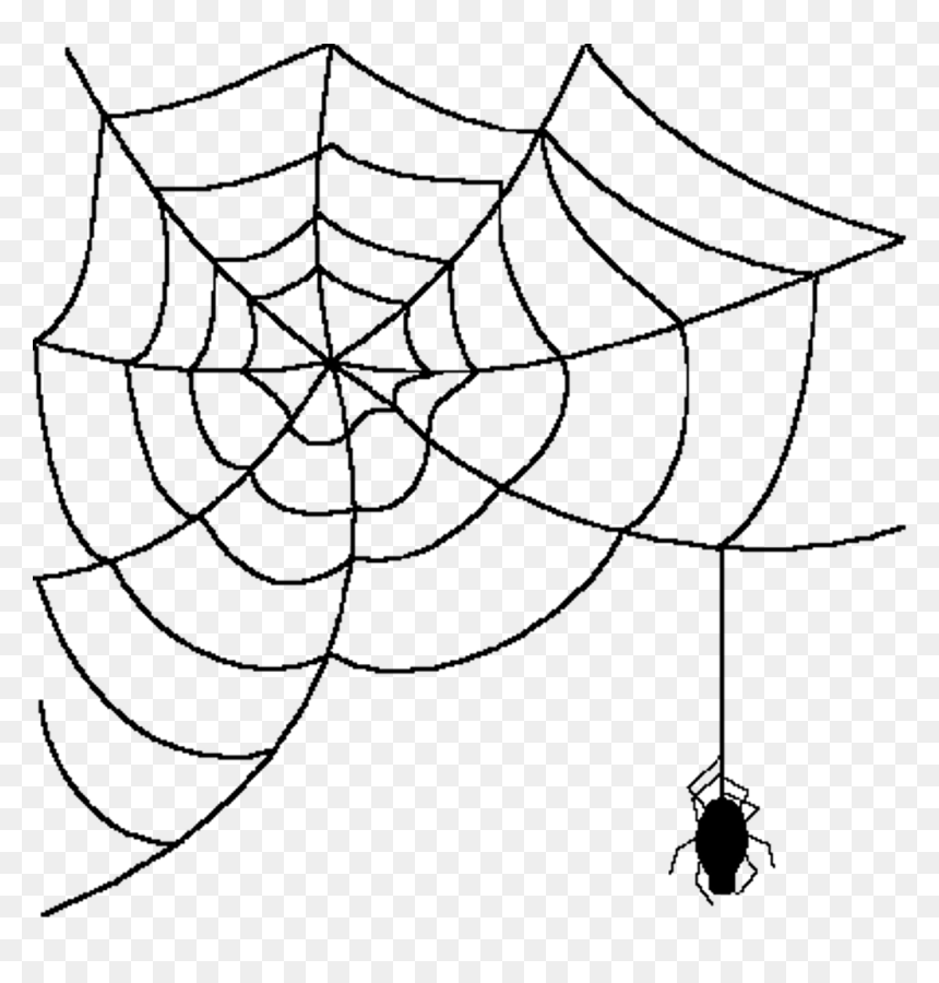 Detail Spider Transparent Nomer 47