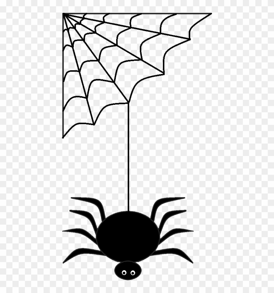 Detail Spider Transparent Nomer 49