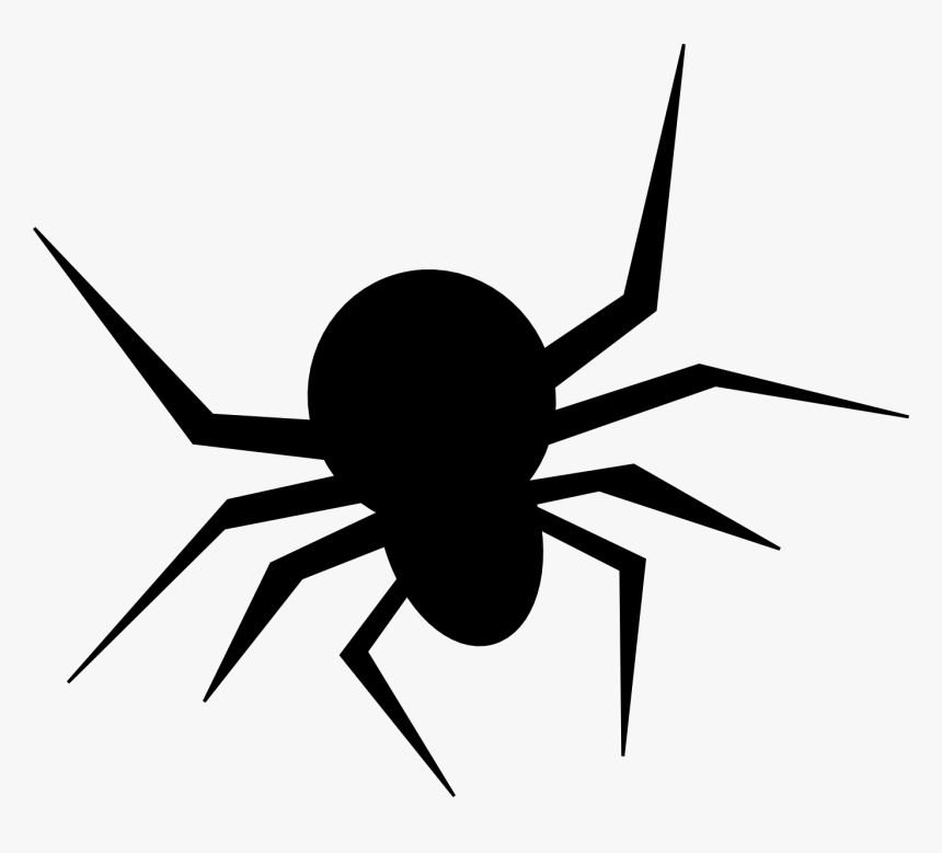 Detail Spider Transparent Nomer 50