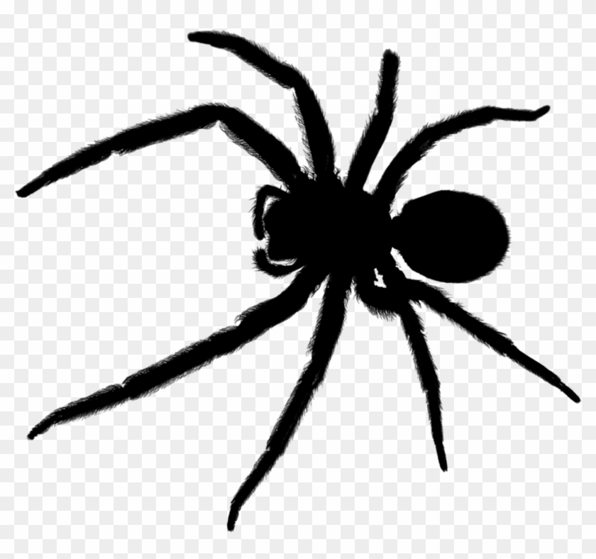 Detail Spider Transparent Background Nomer 15
