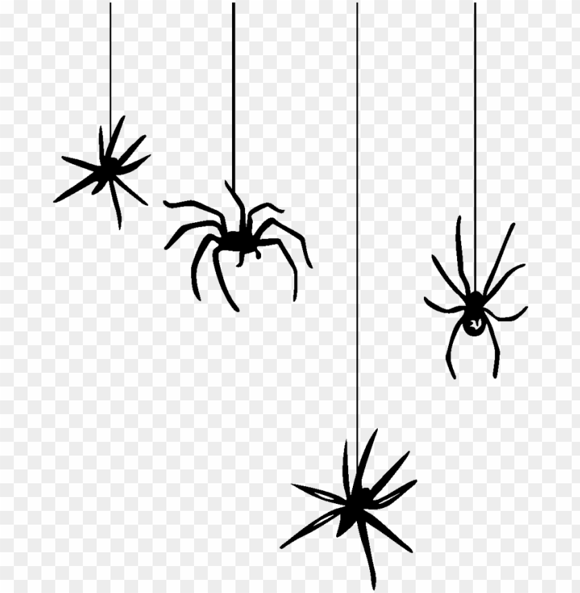 Detail Spider Transparent Background Nomer 25