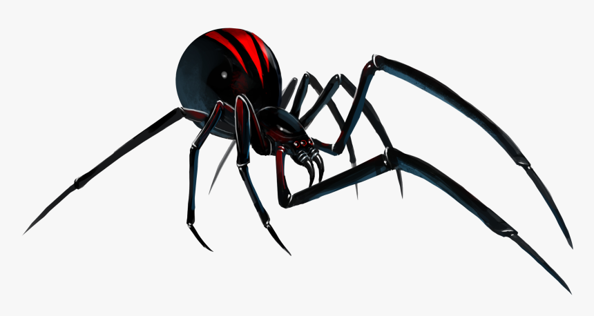 Detail Spider Transparent Background Nomer 31